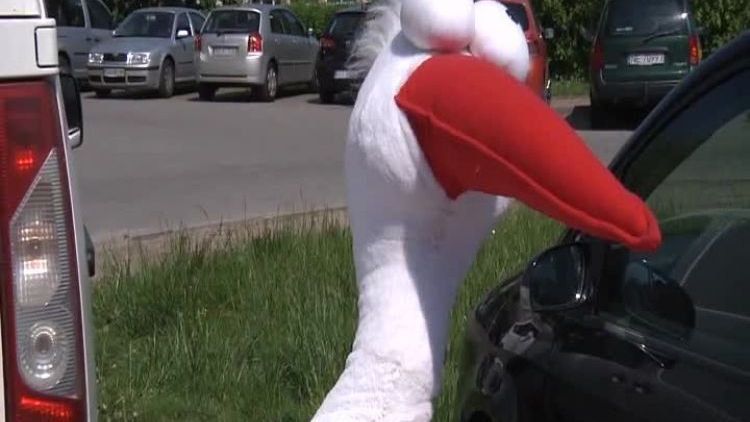 flesz_kongres_kobiet.mp4
