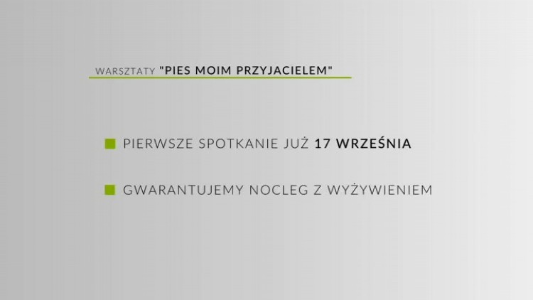 ogloszenie_vitalis.mp4