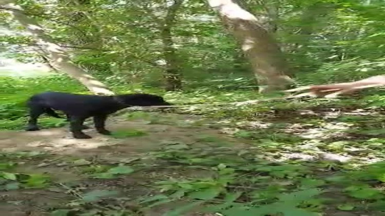zrolo_kmp_elblag_otoz_animals.mp4