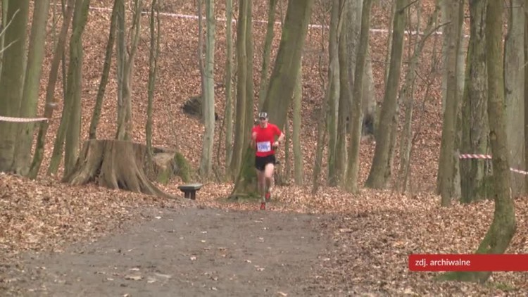 flesz_polmaraton_lesny.mp4