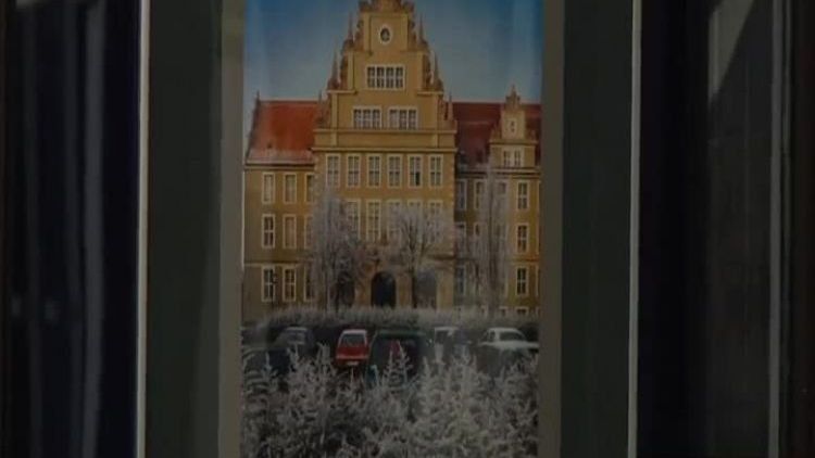 flesz_makro_foto.mp4
