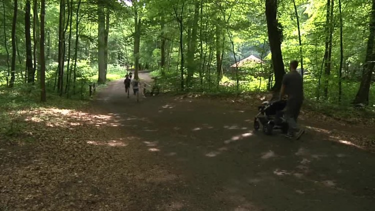 uwaga_na_kleszcze.mp4