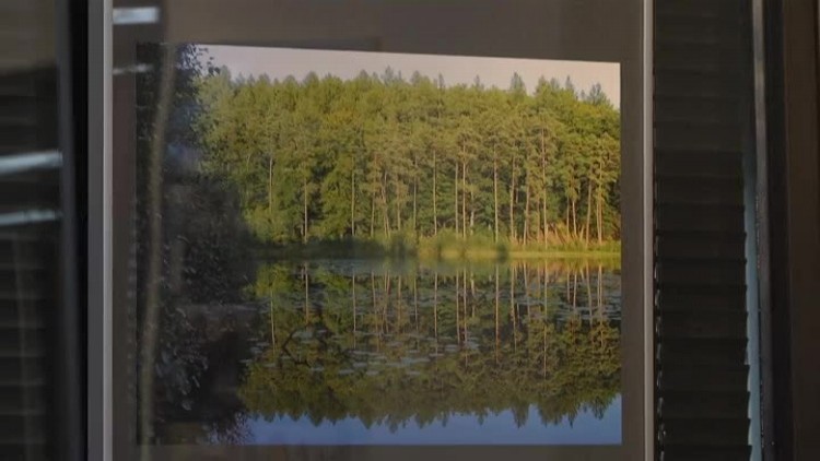 flesz_barwy_lasu_w_elblaskiej_galerii_fotografii.mp4