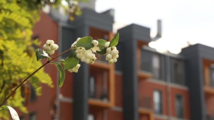 elblag_w_formie_odc_28.mp4