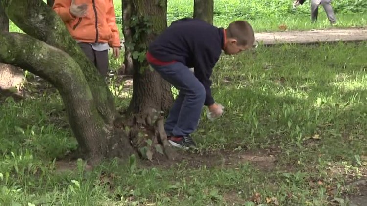 sprzatanie_swiata.mp4