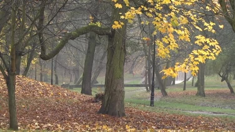 elblag_formie_odc_43.mp4