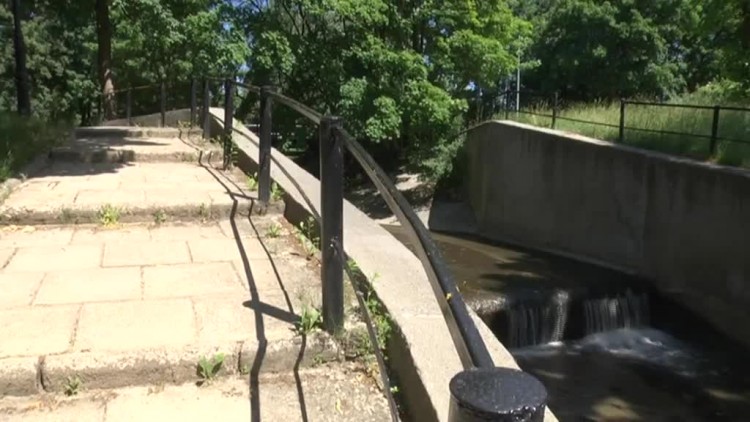 miasto_pyta_o_park_dolinka.mp4