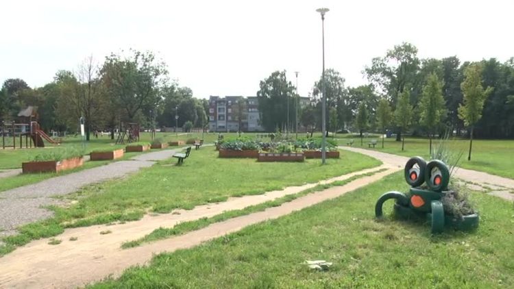 warzywniak_w_srodku_parku_e763d8d.mp4