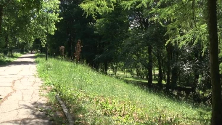 park_dolinka_czeka_na_remont.mp4