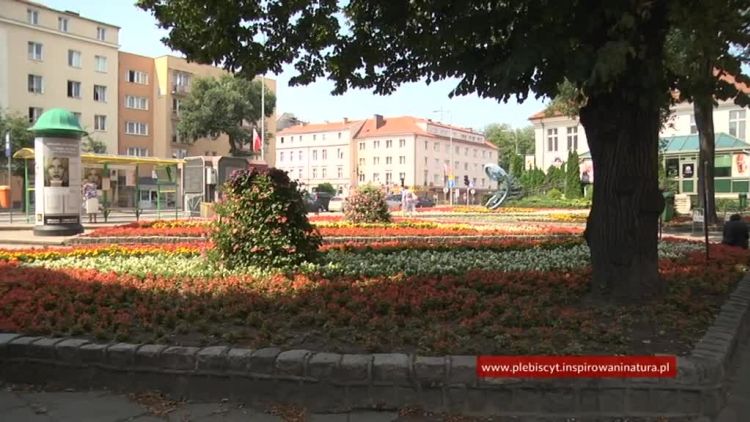 najpiekniej_ukwiecone_miasto_w_polsce.mp4