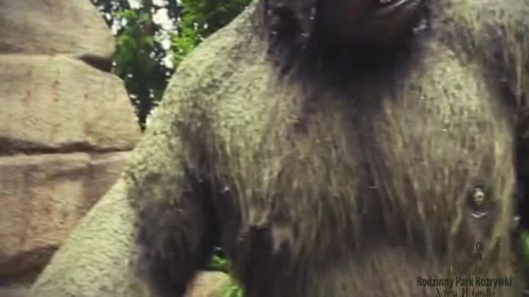 nowa_holandia_spot_15s1.mp4