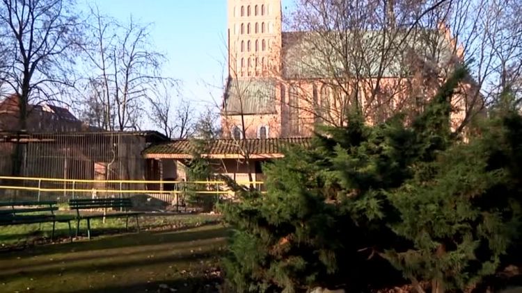 magazyn_braniewski_01112018.mp4