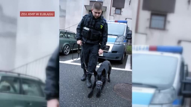 maja_wstapila_do_policji_ynlhns0fq9co0o_.mp4