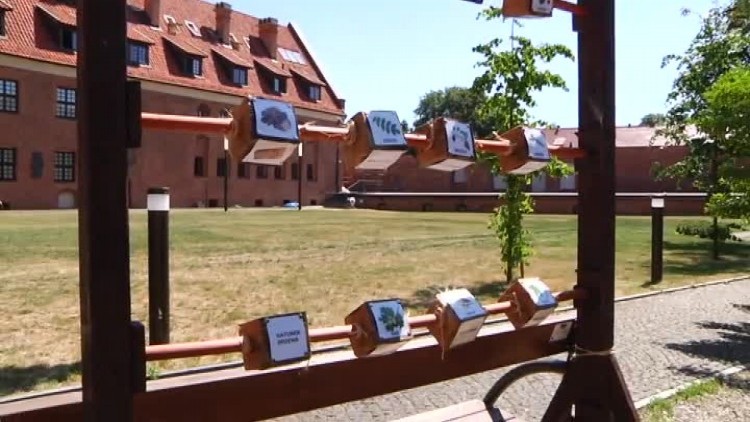 historia_lasu_w_muzeum.mp4