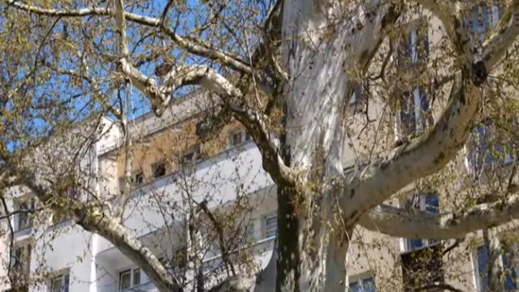 magazyn_nasz_elblag_odc2.mp4
