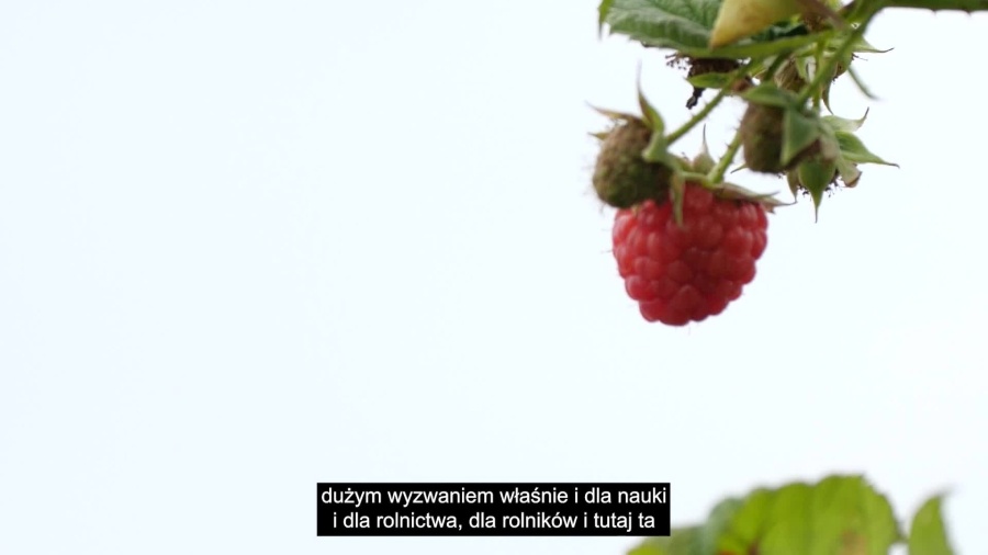 Innowacje w rolnictwie