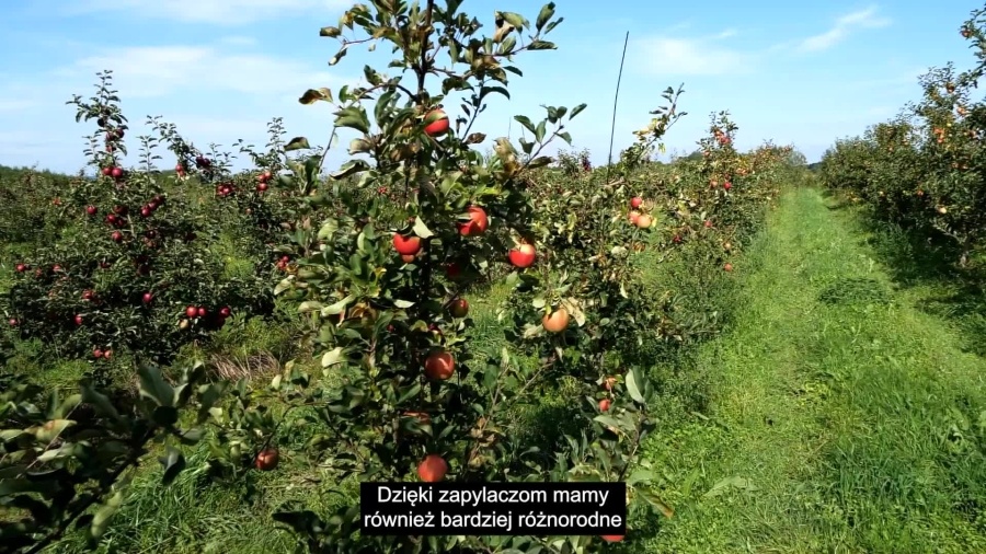 cap-odc-3-bioroznorodnosc-napisy.mp4