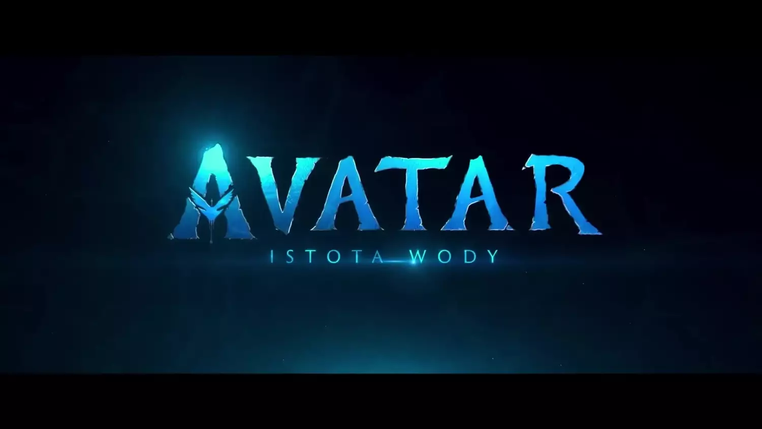 co-jest-grane-16122022.mp4