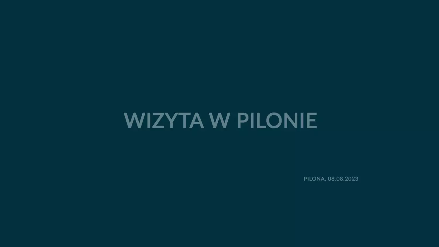 bez-komentarza-pilona.mp4