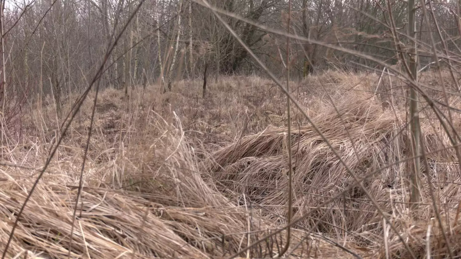 tereny-offroadowe-przy-kwiatkowskiego.mp4