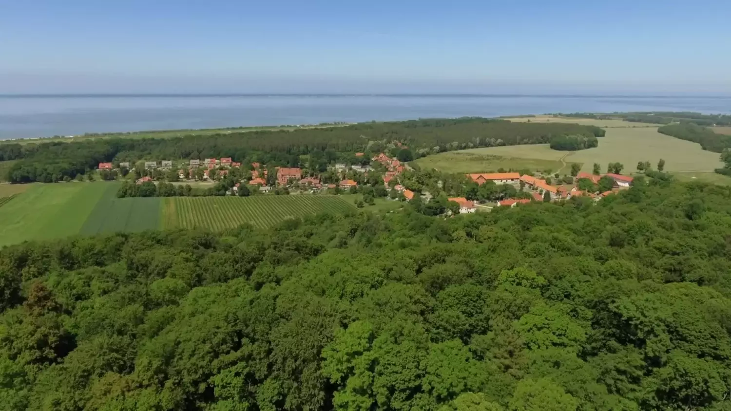 Skarby Regionu: Cesarskie Kadyny