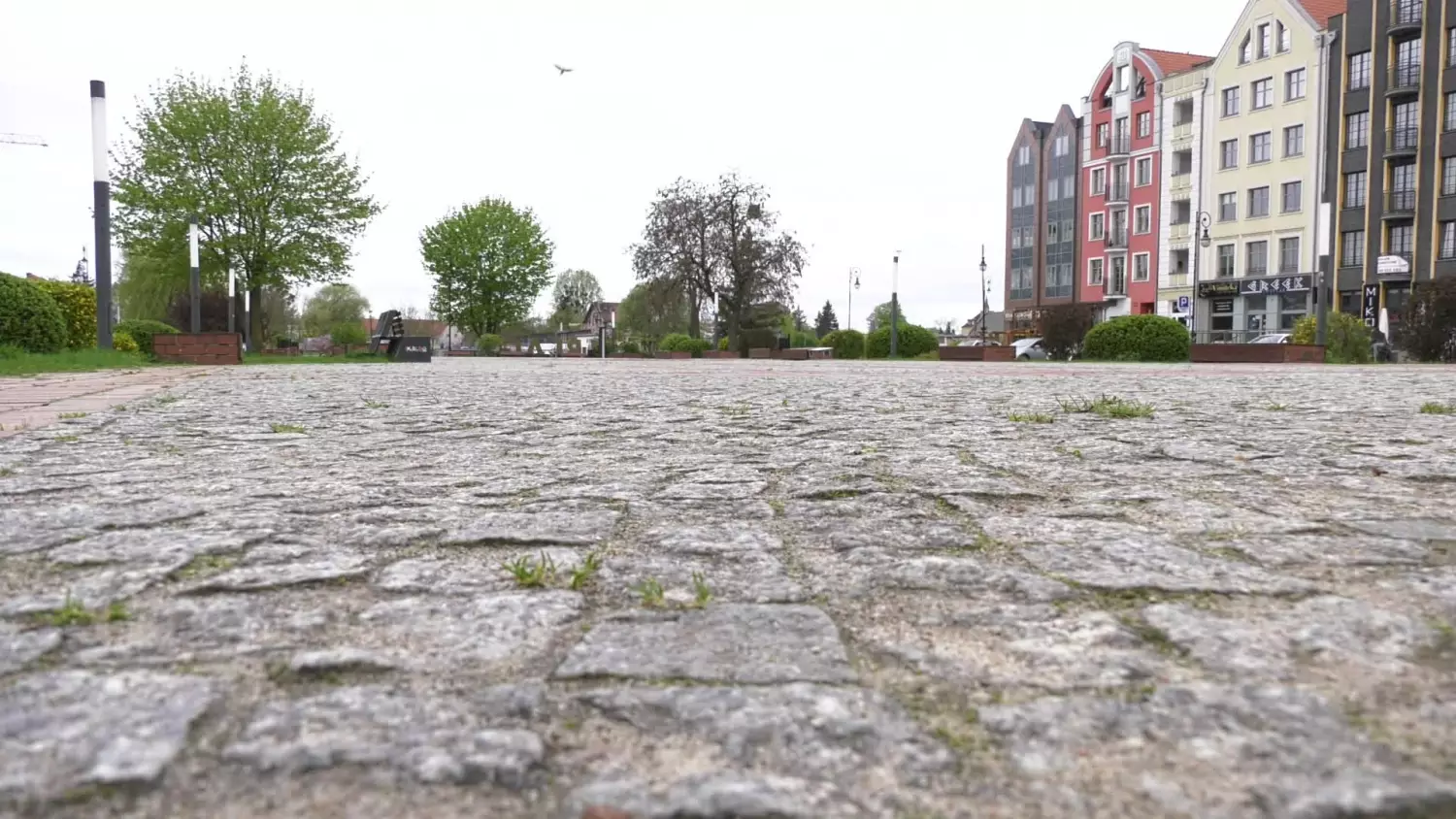 plac-katedralny.mp4