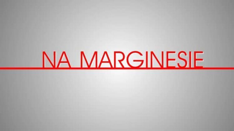na_marginesie_teresa_wojcinowicz.mp4