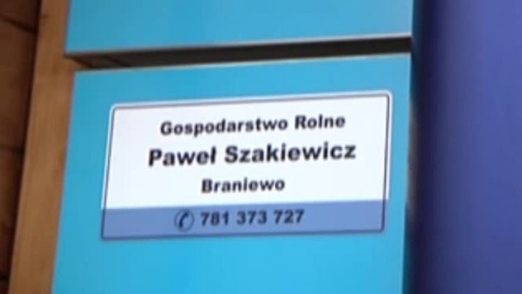mechaniczna_krowa.mp4