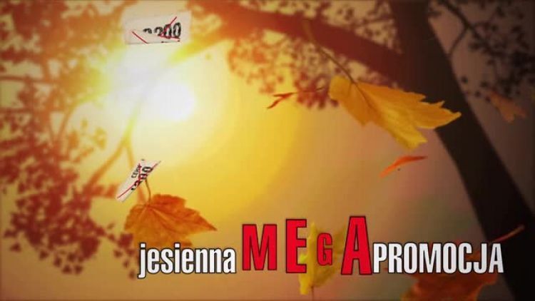 autopromocja2011.mp4